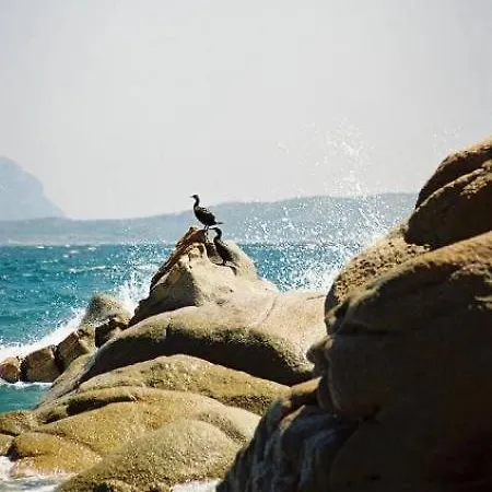Appartamento Relax Mare Divertimento