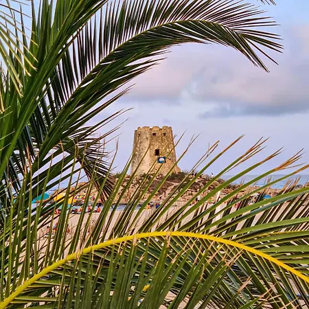 Sardegna Estate Ogliastra Mare Montagna 5 Minuti In Spiaggi
